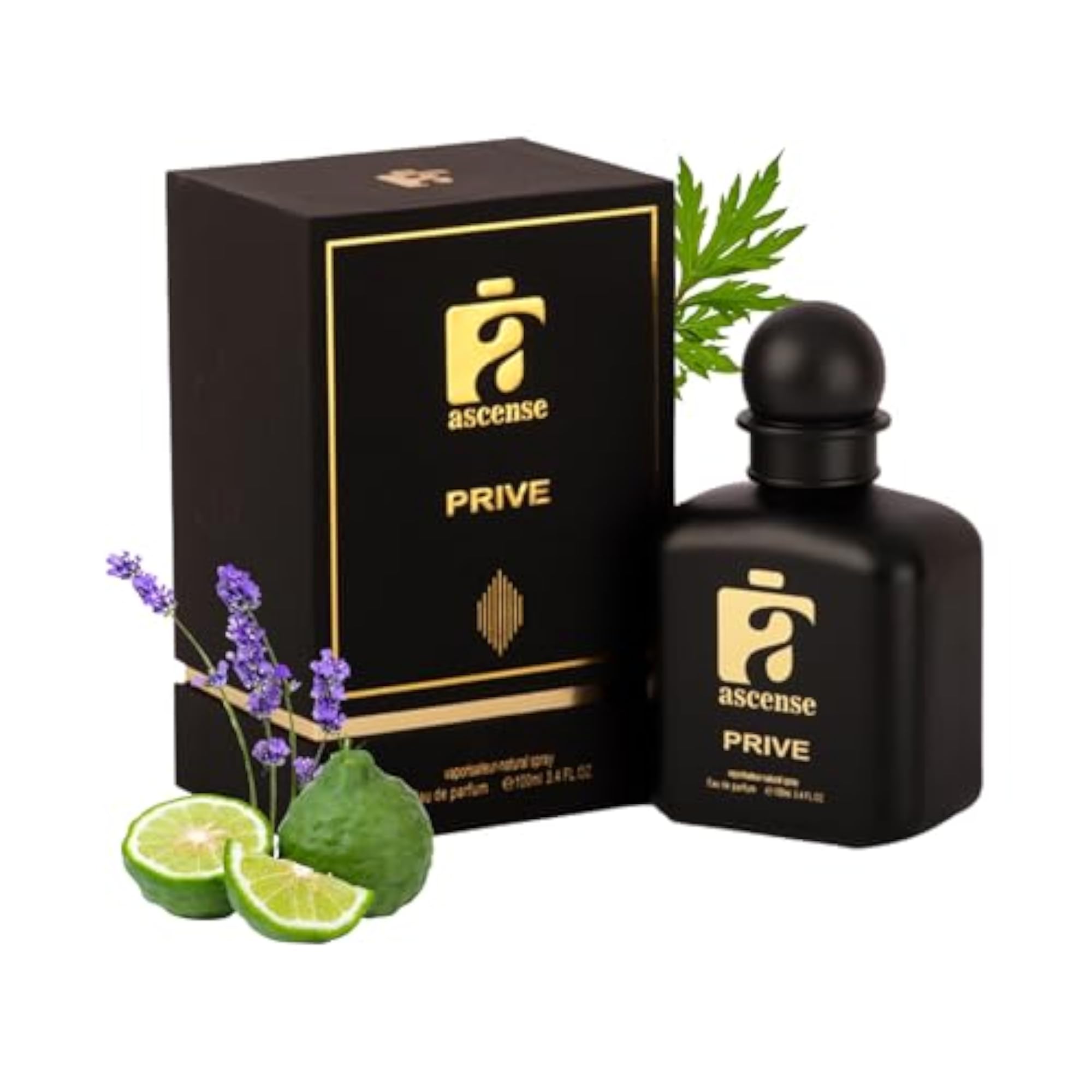Unisex Ascence Prive Luxury Oud Perfume, 100ml